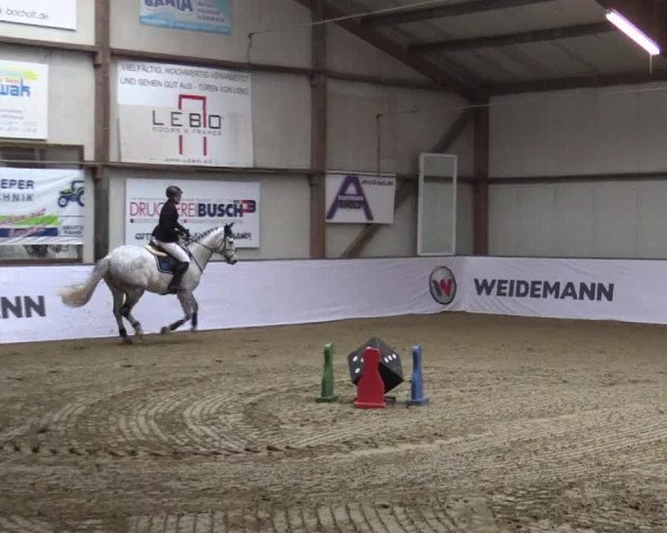 Reitturnier Barlo-Bocholt 2018
