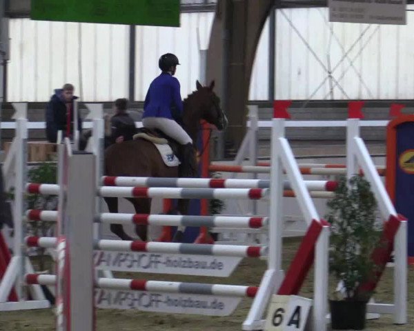 Reitturnier Barlo-Bocholt 2018