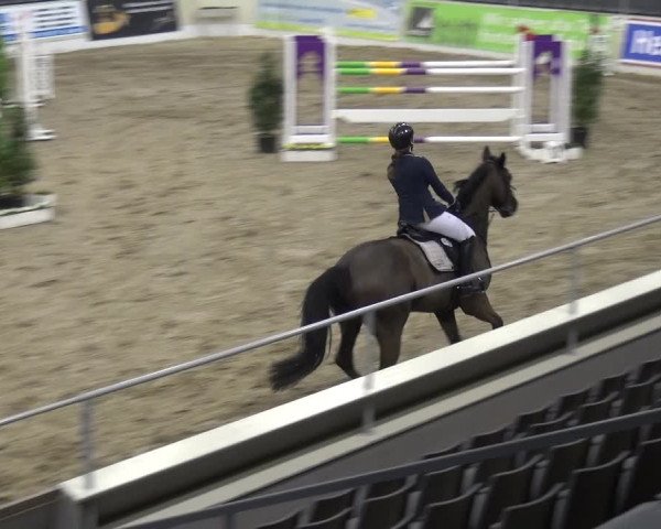 VER-Dinale 2018 - Verdener Hallenreitturnier
