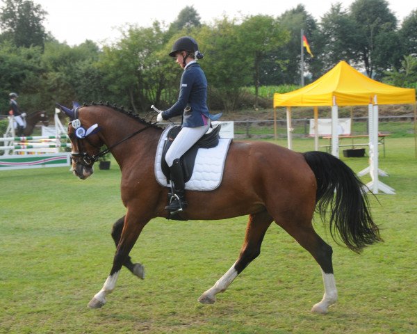 dressage horse Lireen (Westphalian, 2012, from Lissaro)