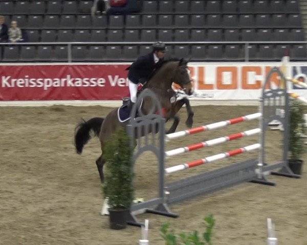 VER-Dinale 2018 - Verdener Hallenreitturnier