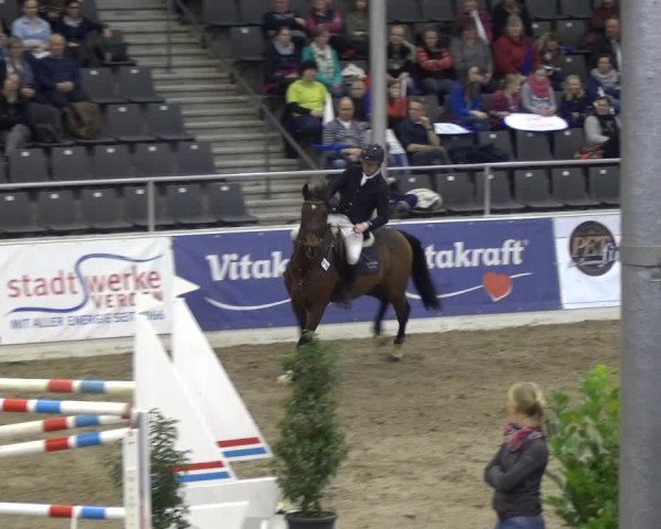 VER-Dinale 2018 - Verdener Hallenreitturnier