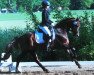 dressage horse Carlsson 68 (German Riding Pony, 2008, from Charivari)