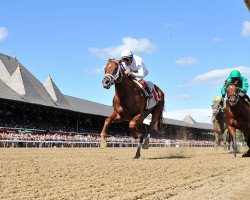 horse National Flag xx (Thoroughbred, 2015, from Speightstown xx)