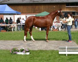 broodmare Farida P (Hanoverian, 2014, from For Romance I)