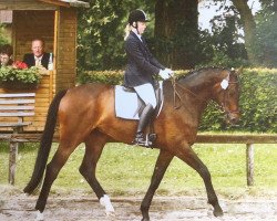 dressage horse Pablo 448 (Oldenburg, 2003, from Drakdream)