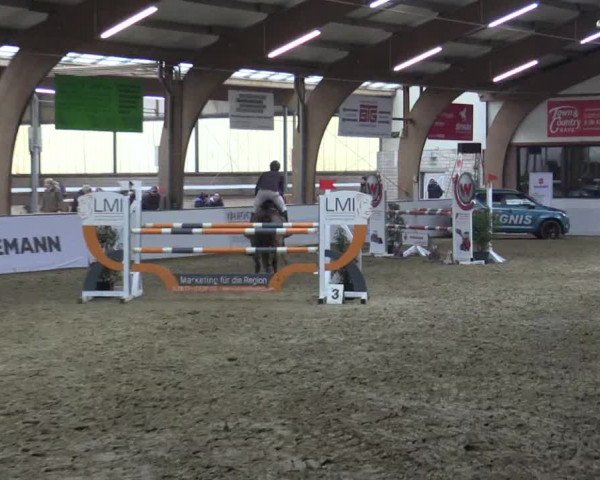Reitturnier Barlo-Bocholt 2018