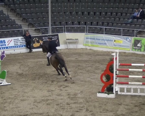 VER-Dinale 2018 - Verdener Hallenreitturnier