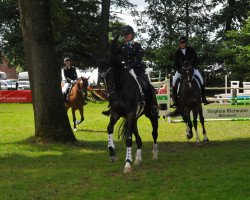 dressage horse Sir Stanley S (Oldenburg, 2013, from Surprice)