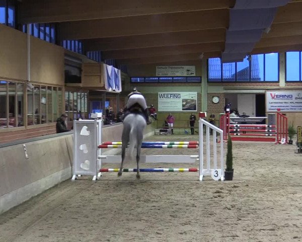 Reitturnier Heiden 2018