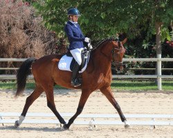 dressage horse Johnson Beach G (Luxembourg horse, 2012, from Glock's Johnson Tn)