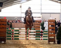 Springpferd Dasha la Belle (Deutsches Reitpony, 2010, von Donauwind)