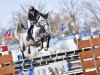 jumper Chester van't Goor Z (Zangersheide riding horse, 2010, from Chellano Z)