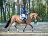 broodmare Die Da RB (German Riding Pony, 2011, from FS Don't Worry)