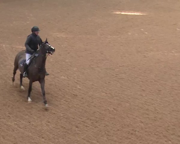 Reitturnier Kreuth 2018