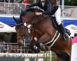 jumper Balduin 40 (German Sport Horse, 2009, from Blue Balou)