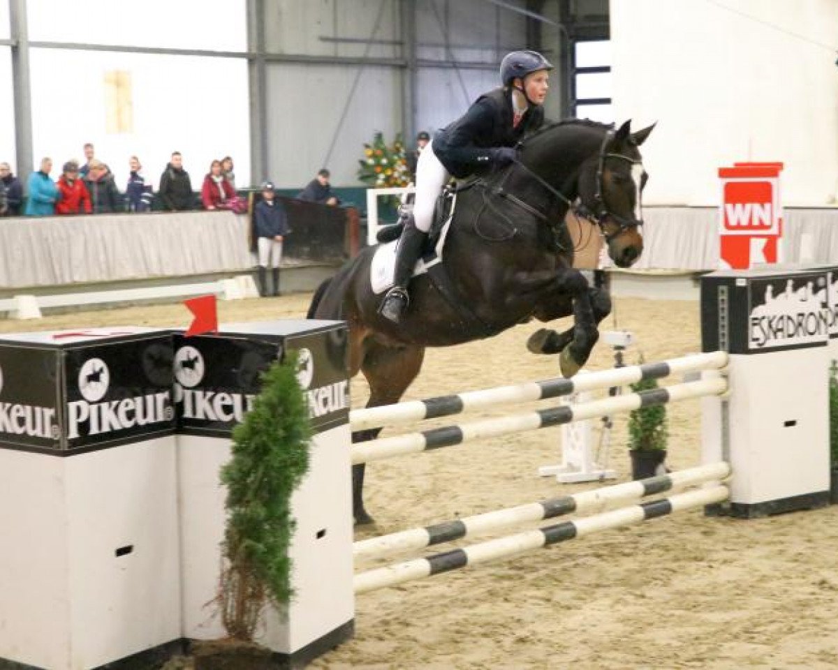 jumper Lasse 115 (Hanoverian, 2009, from Lauscher)
