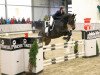 jumper Lasse 115 (Hanoverian, 2009, from Lauscher)