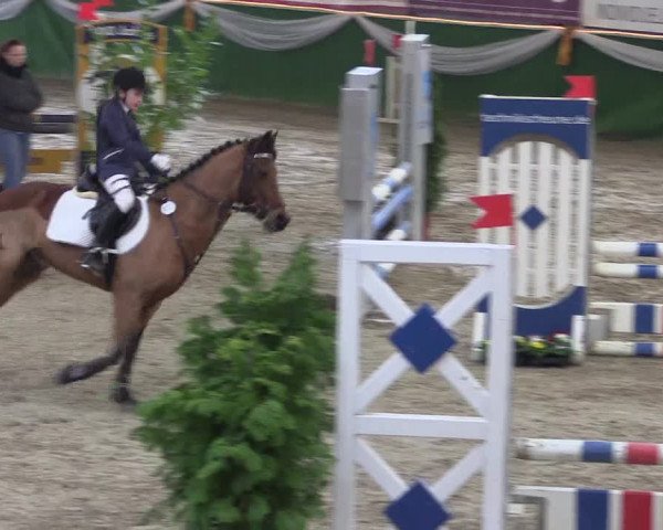 Reitturnier Keppeln 2018