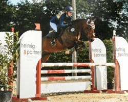 jumper Nuno 10 (German Riding Pony, 2009, from Nibelungenheld)