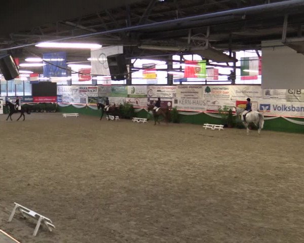 Reitturnier Keppeln 2018