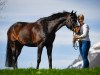 Springpferd Laudato Fs CH (Schweizer Warmblut, 2007, von Lady Lover R)