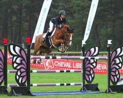 broodmare Top Lulu (Selle Français, 2007, from Quidam de Revel)