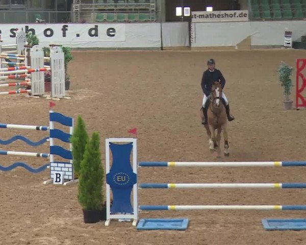 FEI Reitturnier Kreuth (GER) 2018