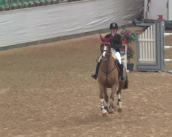 FEI Reitturnier Kreuth (GER) 2018