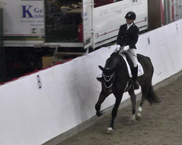 Reitturnier Viernheim 2018