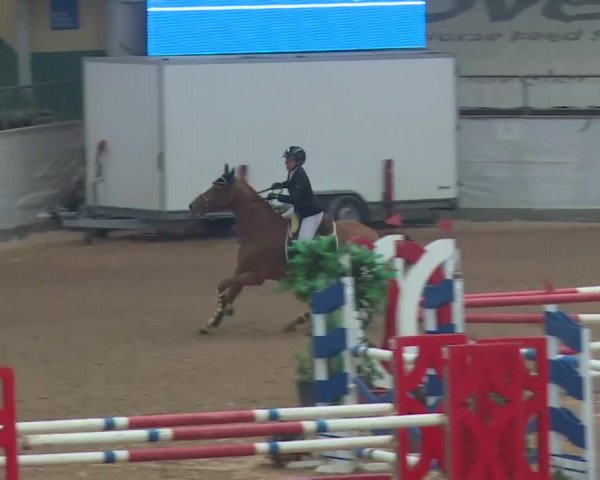 FEI Reitturnier Kreuth (GER) 2018