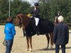 dressage horse Fulmer Feather Duster (Hanoverian, 2009, from Fürst Nymphenburg)