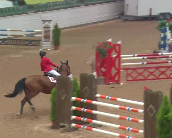 FEI Reitturnier Kreuth (GER) 2018
