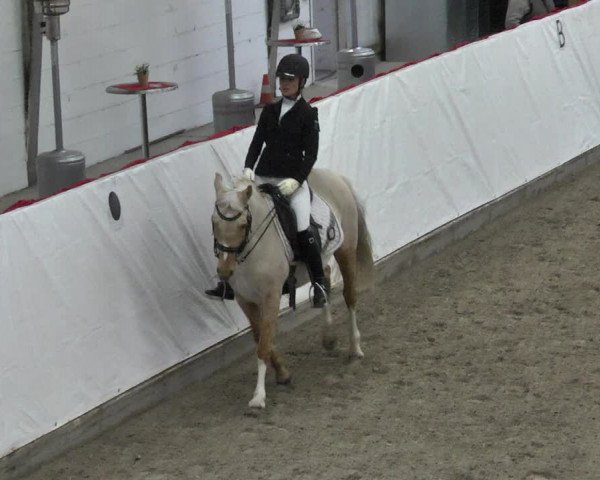 Reitturnier Viernheim 2018