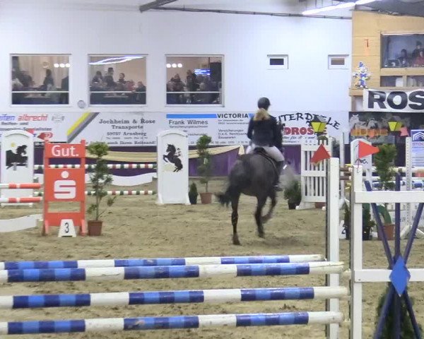 Reitturnier Arnsberg-Voßwinkel 2018