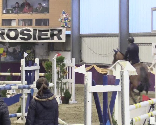 Reitturnier Arnsberg-Voßwinkel 2018