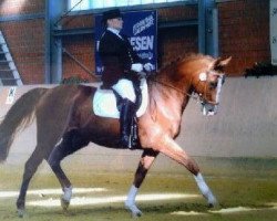 dressage horse Askahn 5 (Rhinelander, 2000, from Abanos)