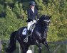 dressage horse Tamburin Man (Oldenburg, 2012, from Totilas)