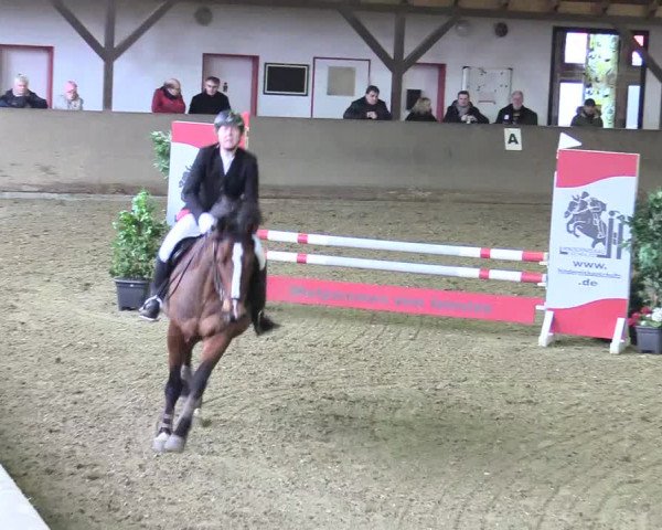 Reitturnier Kamen 2018