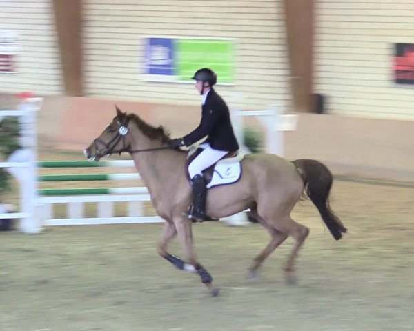 Reitturnier Kamen 2018