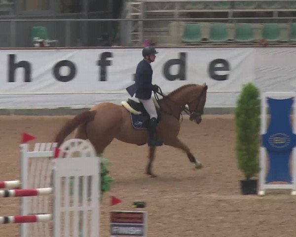 FEI Reitturnier Kreuth (GER) 2018
