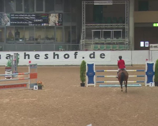 FEI Reitturnier Kreuth (GER) 2018