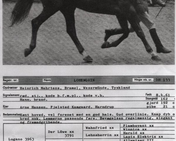 stallion Lohengrin (Danish Warmblood, 1961, from Lugano I)
