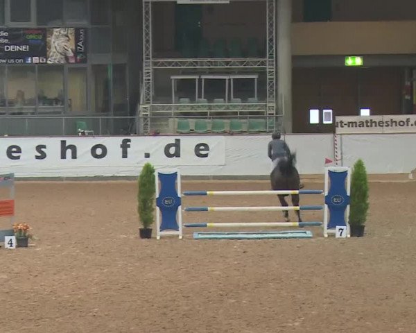 FEI Reitturnier Kreuth (GER) 2018