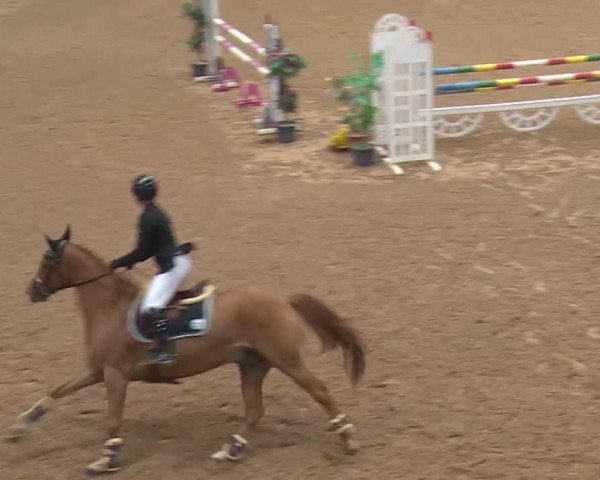 FEI Reitturnier Kreuth (GER) 2018