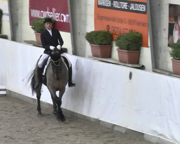 Reitturnier Viernheim 2018