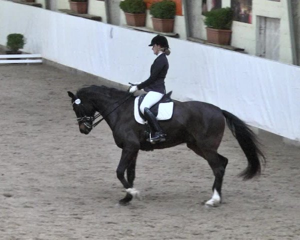 Reitturnier Viernheim 2018