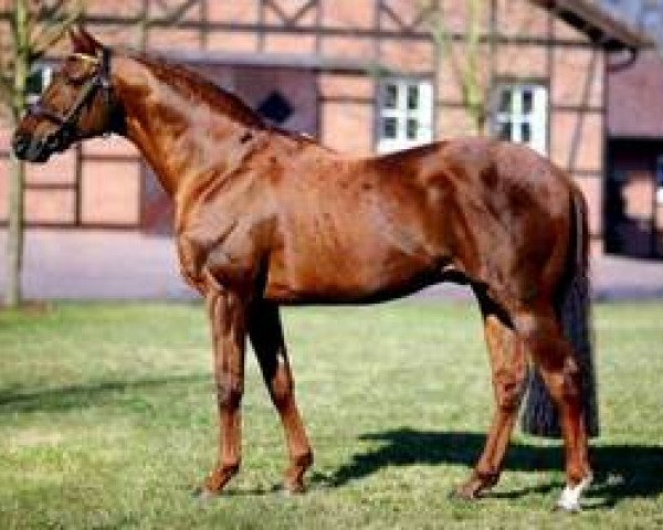 stallion Sabiango xx (Thoroughbred, 1998, from Acatenango xx)
