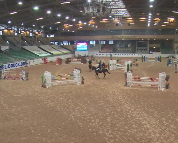 FEI Reitturnier Kreuth (GER) 2018