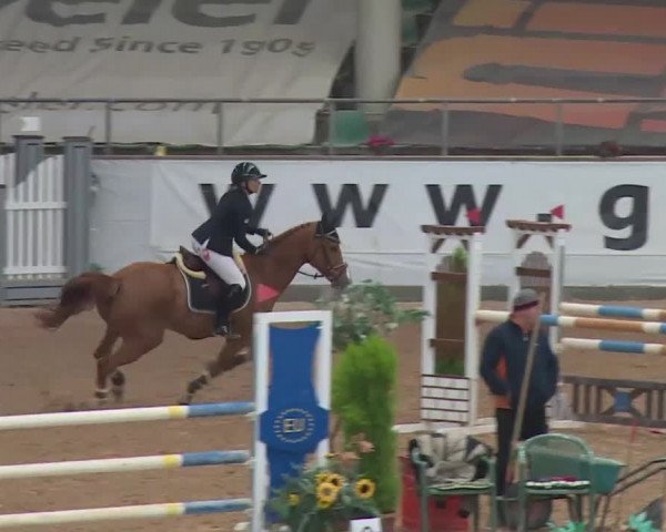 FEI Reitturnier Kreuth (GER) 2018
